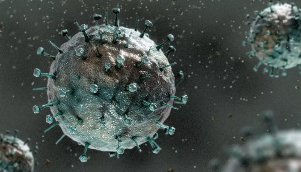 H1N1 Coronavirus Graphic