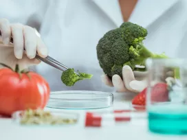 Testing food in laboratory chemical regualtion and food safety