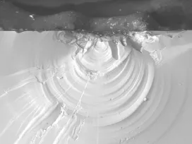 Microscopy image taken by Exponent's experts who provide glass and ceramic materials consulting services.