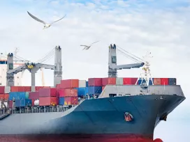 Ecological & Biological Sciences Ship Bird Seagals