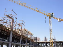 Cranes