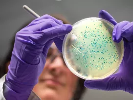 Antimicrobials [CRFS]