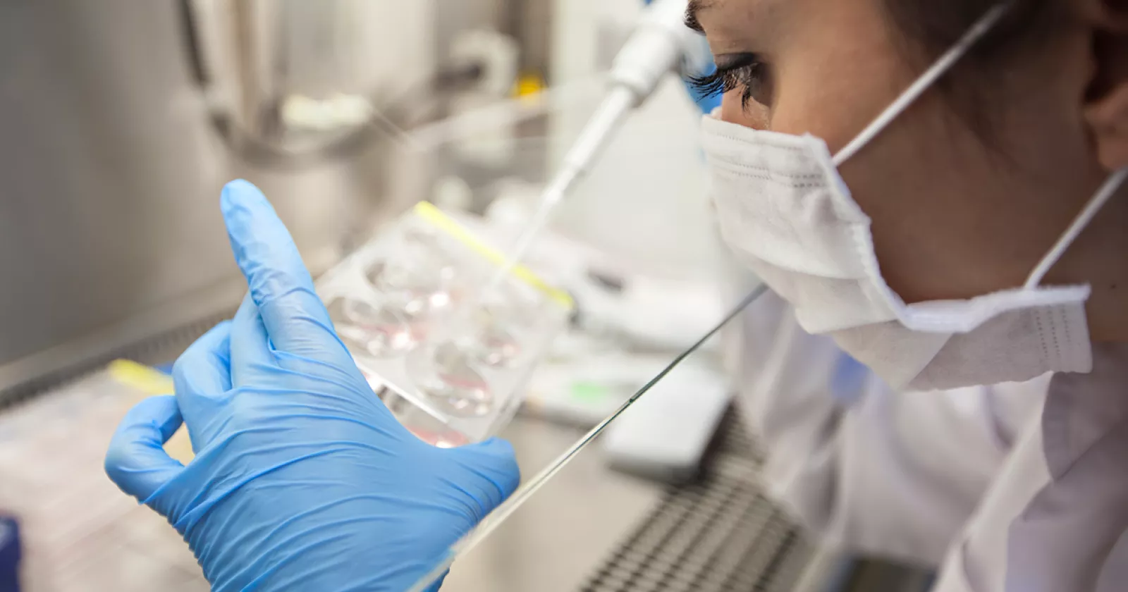 Scientist pipette liquid samples into a test container