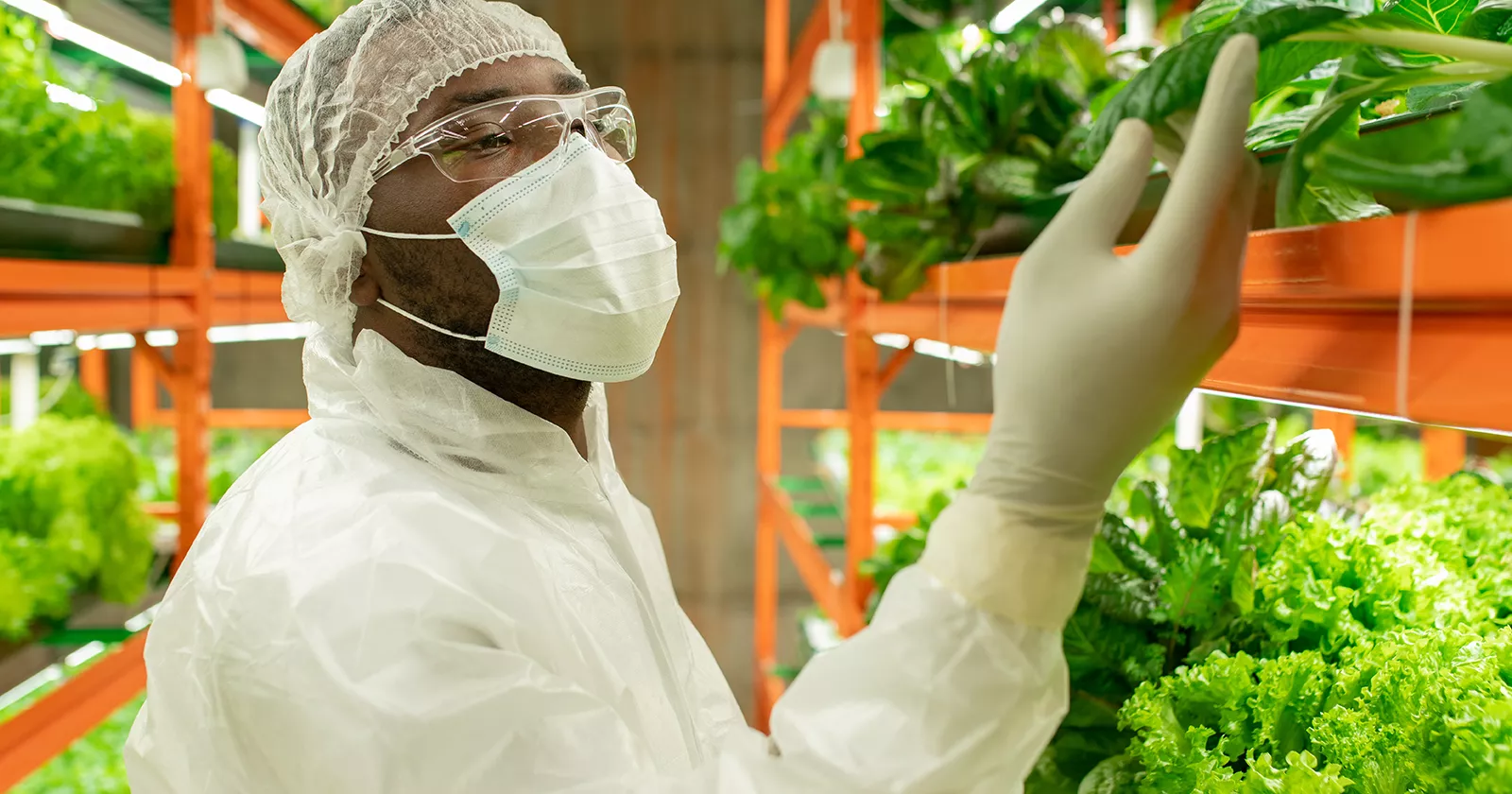 Intake & Dietary Risk/Safety Assessments 