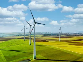 Wind turbines standing in a field of crops on a sunny day. Exponent engineers provide support for all energy systems.