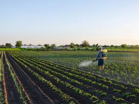 Chemical Regulatory Support in the US 