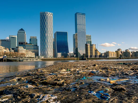 A Thames beach filled with waste and discarded flotsam at Rotherhithe across from Canary Wharf.