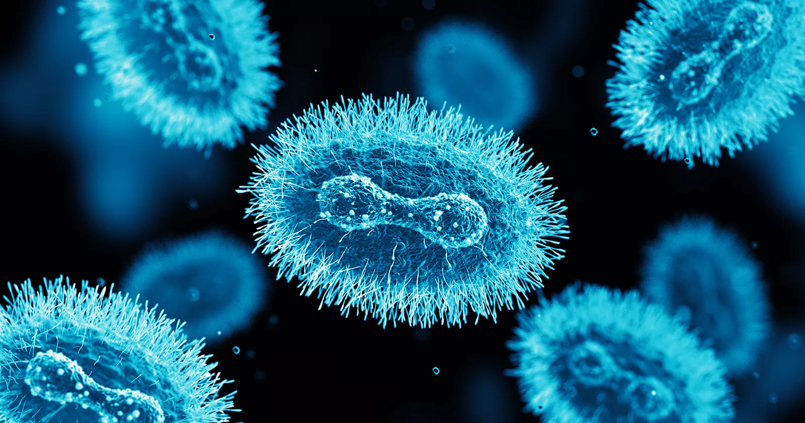 Magnified image of the specimen. Exponent helps track infectious diseases with epidemiological studies.