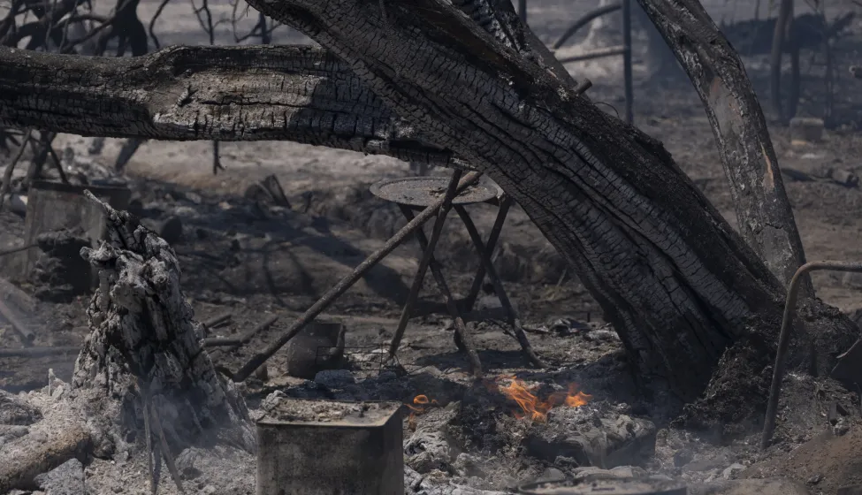 Forest Fire Suppression and Cooling Efforts