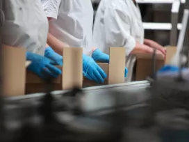 Development of Guarding for a Corrugated-Box Machine