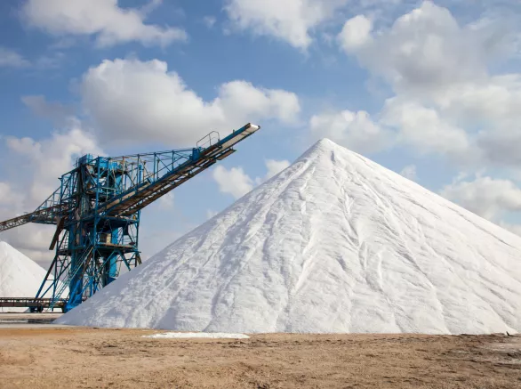 Extraction of mineral salt 