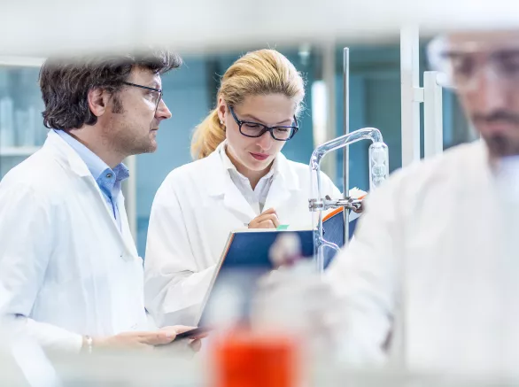 Scientists Working in the Laboratory