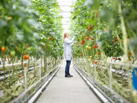 Food Safety & Nutrition Regulatory Support 