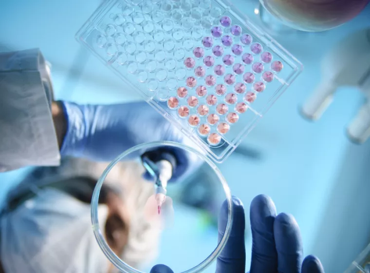 Scientistis in lab coat and gloves examines samples under microscope. Exponent biomedical engineering and sciences expertise.